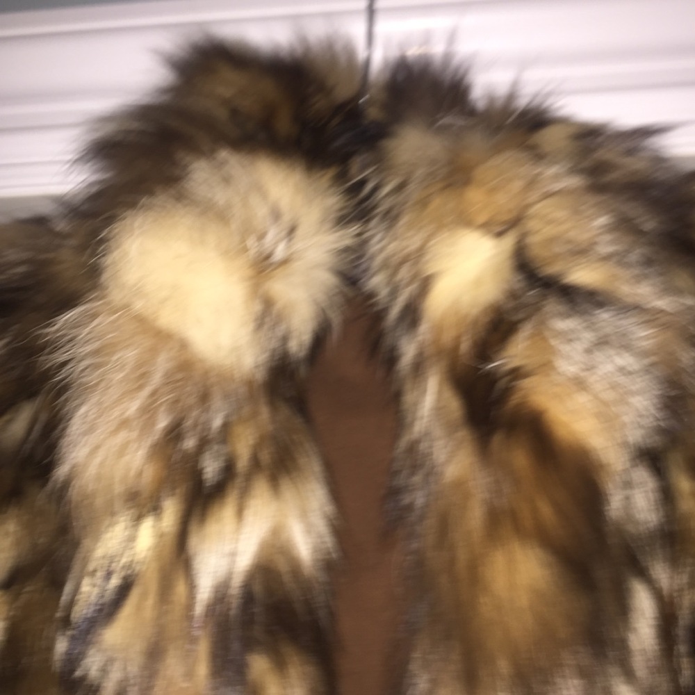 Fur